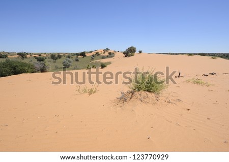 Askham. Dune view in the kalahari  desert, Northern Cape, South Africa.
