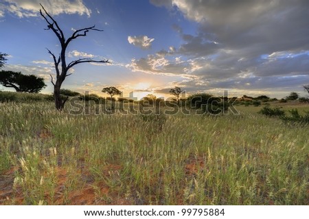 Kalahari sunset. 9 image exposure stack. Loch Broom, Askam, Northern Cape,