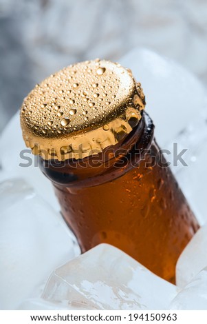 Bottle with soft drinks or alcohol in the ice. On gold caps and a bottle neck are drops of dew. Macro.