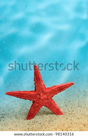 Welcome to the resort. Starfish on the clean golden sand in a welcoming gesture. Underwater. Macro.