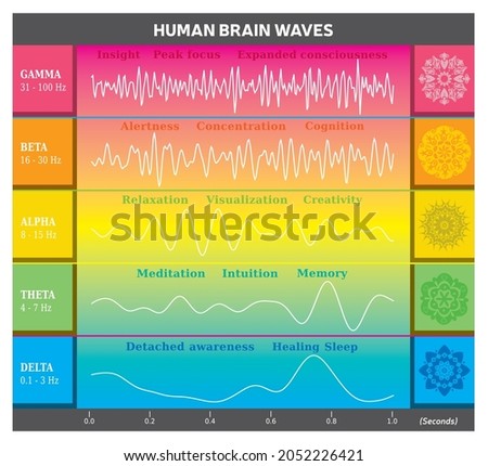 Human Brain Waves Diagram in Rainbow Colors with Explanations - Alpha Beta Gamma Theta Delta Frequencies and Mandalas