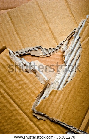 corrugated cardboard teared apart