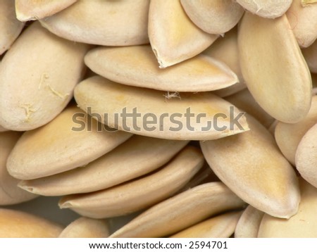 Melon seeds. Extremal close-up (Remark:  (cucumber seeds looks identical - can be used too)