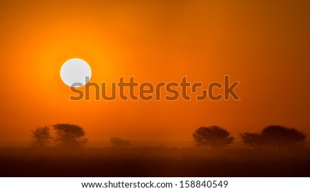 African sunset with silhouettes of trees and that typical round sun