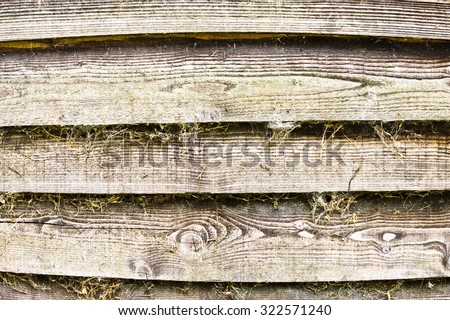 Wooden fence panels with cobwebs and dried grass, as a background
