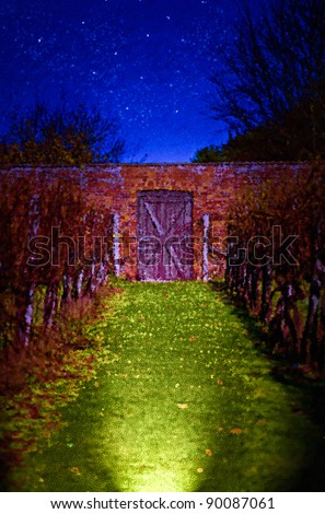 Digital painting of exploring a garden at night with a torch