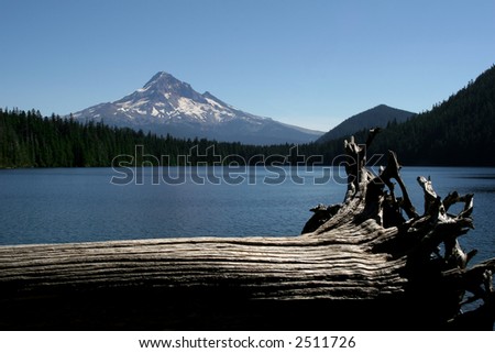 driftwood at Lost Lake, Oregon with Mt Hood in background