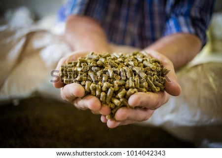 Close up image of hands holding animal feed at a stock yard Сток-фото © 