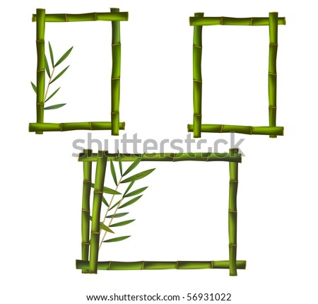 Green bamboo frames. Vector.