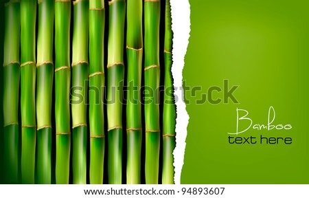 Bamboo background with ripped paper. Vector illustration.