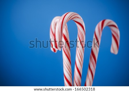White and red peppermint candy canes in bucket on blue background