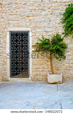 Home Door. Green Plant. Ancient Wall. High quality stock photo.