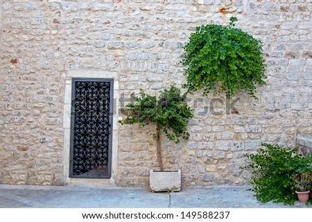 Home Door. Green Plant. Ancient Wall. High quality stock photo.