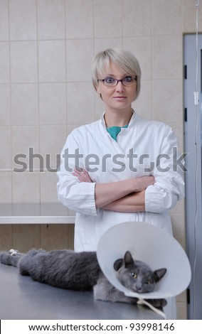 doctor vet woman work at surgery room on ill animal cat and dog giving help and medical care