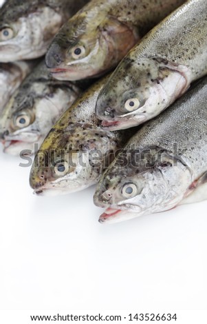 fresh rainbow trouts on white background - food and drink