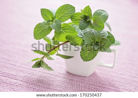 cup of fresh mint as a mint tea - food and drink