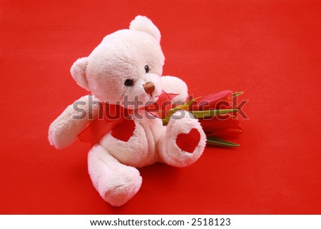 little sweet teddy bear with red tulip - little gift