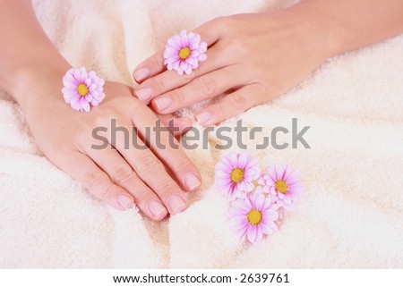 beautiful hands with daisy flowers - hands care
