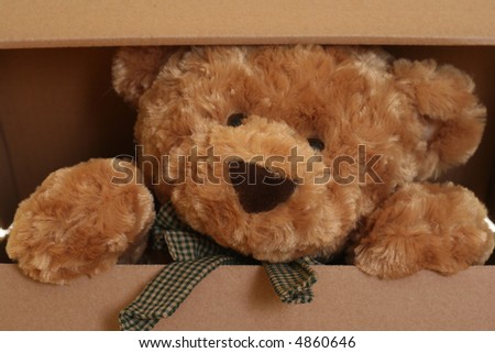 close-ups of cute teddy bear in box