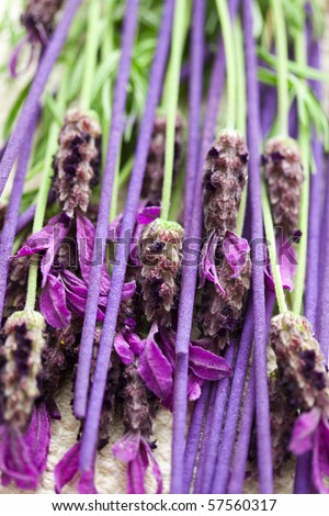 lavender incense sticks with fresh flowers - beauty treatment