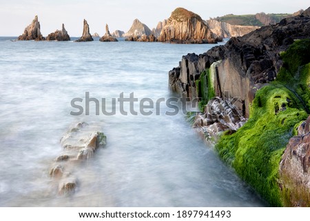 Similar – Image, Stock Photo Mossy cliffs near ocean in daylight