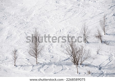 Similar – Image, Stock Photo Snowy Pyrenees and lonely house with shiny lights under sky