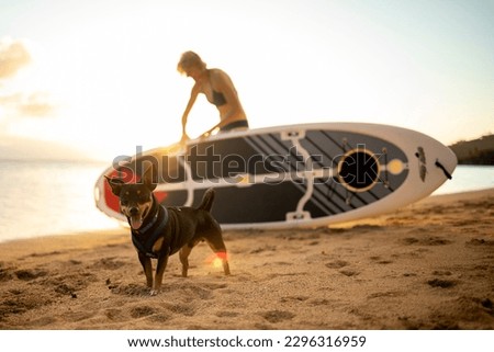 Similar – Image, Stock Photo Woman with paddleboard on shore in sea