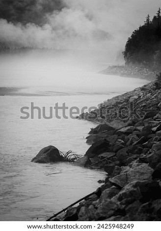 Similar – Image, Stock Photo fog rises over river in dark summer evening. Reeds and water lilies in foreground, bridge in distance. Dull boring sky. Beautiful moody night time