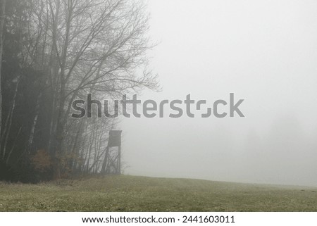 Similar – Foto Bild Der Baum steht