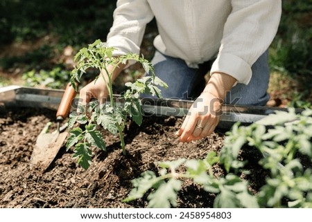 Similar – Image, Stock Photo garden tools Garden