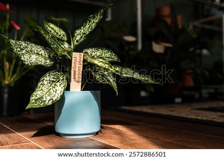 Similar – Image, Stock Photo Urban Gardening Self Support