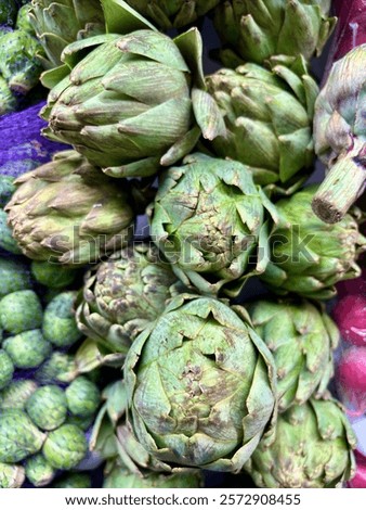 Similar – Image, Stock Photo Fresh green artichokes at the weekly market in Alacati in the province of Izmir at the Aegean Sea in Turkey