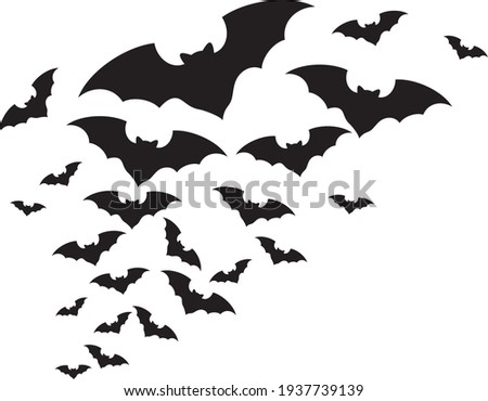 flock of bats vector icon