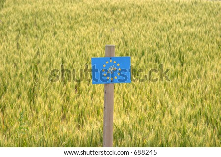 European Community Life project and a corn field, Valtrebbia, Italy 2005