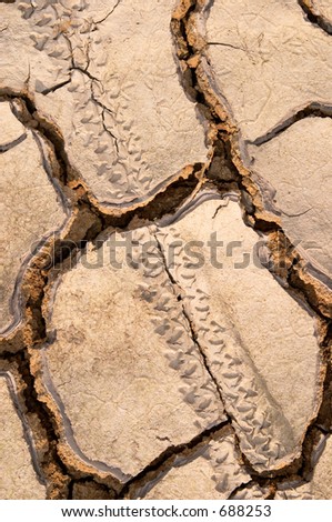 Bike tire print on dry mud cracks texture, Valtrebbia, Italy