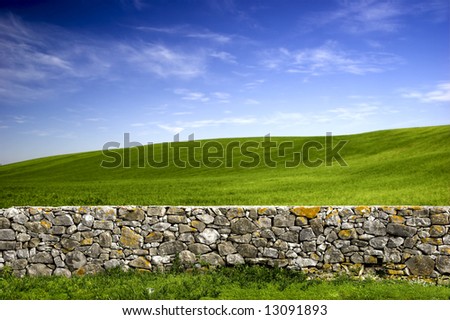 Beautiful green meadow with a old Stone wall