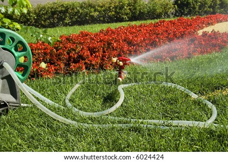 A water sprinkler irrigating grass and flowers