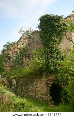 Ruins of an old overgrown caste ruin