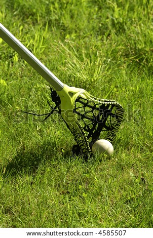 a green striped lacrosse stick and ball in the grass