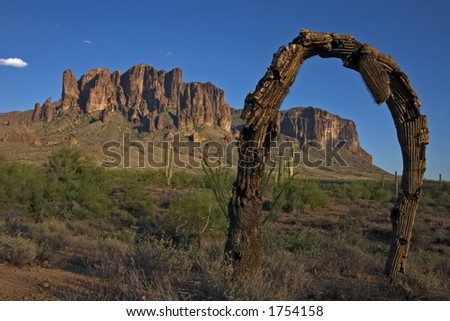A dead saguaro forms an arch close to the Superstition Mountains - Lost Dutchman State Park - Arizona