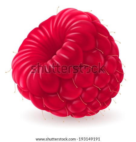 Apperizing  fresh raspberry isolated on white background. Realistic illustration