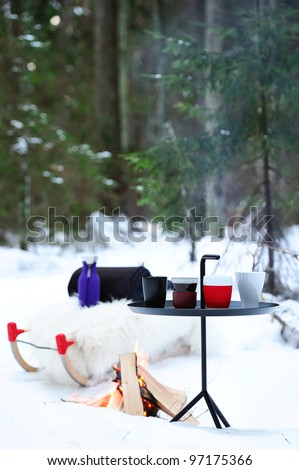 Picnic in the winter forest. Cups, bonfire, sled and rug.