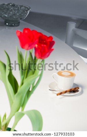 Beautiful red tulips on the counter are being photographed from different angles.