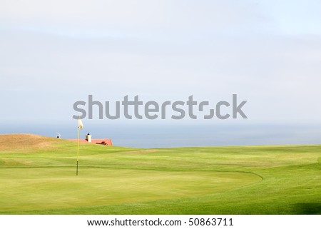 Green on a golf resort with a red flag on a yellow flag pole.