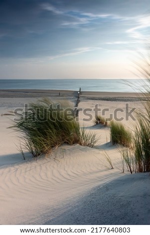 Similar – Image, Stock Photo Wadden Sea Environment