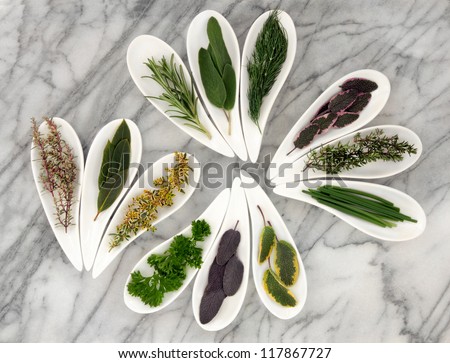 Herb selection of varieties of sage, thyme, fennel, chives, mint, rosemary, parsley and bay leaf sprigs in white porcelain dishes on a mottled marble background.
