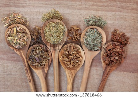 Herb selection for alternative health remedies in olive wood spoons over papyrus background. White willow, irish moss, yarrow, orange blossom, lemon grass and oak bark, left to right.