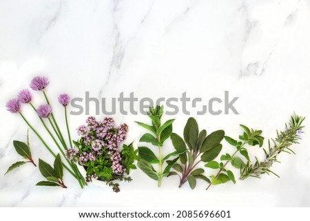 Healthy herbs for natural food seasoning and herbal plant medicine with chive blossom, marjoram, mint, sage, oregano and rosemary, left to right on marble background. Flat lay, top view, copy space. Foto stock © 