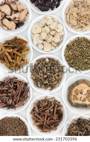 Herb selection used in chinese herbal medicine in porcelain bowls over white background.