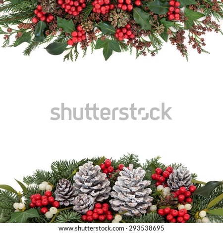 Christmas and winter flora with holly and red berries, mistletoe, ivy, snow covered pine cones, fir and traditional greenery over white background.